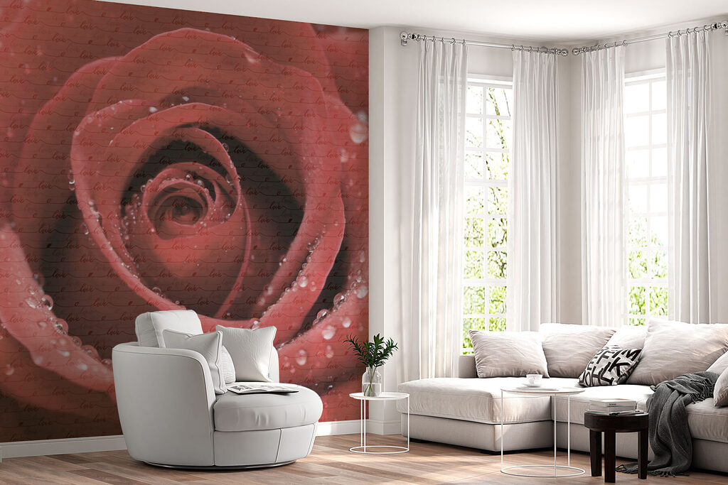 Delicate petals adorned with droplets