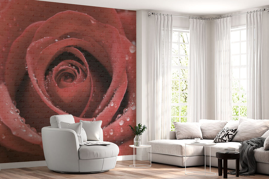 Delicati petali ornati di goccioline