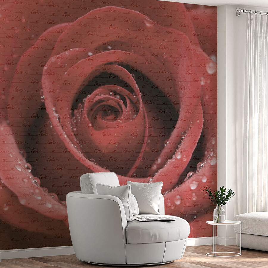 Delicati petali ornati di goccioline