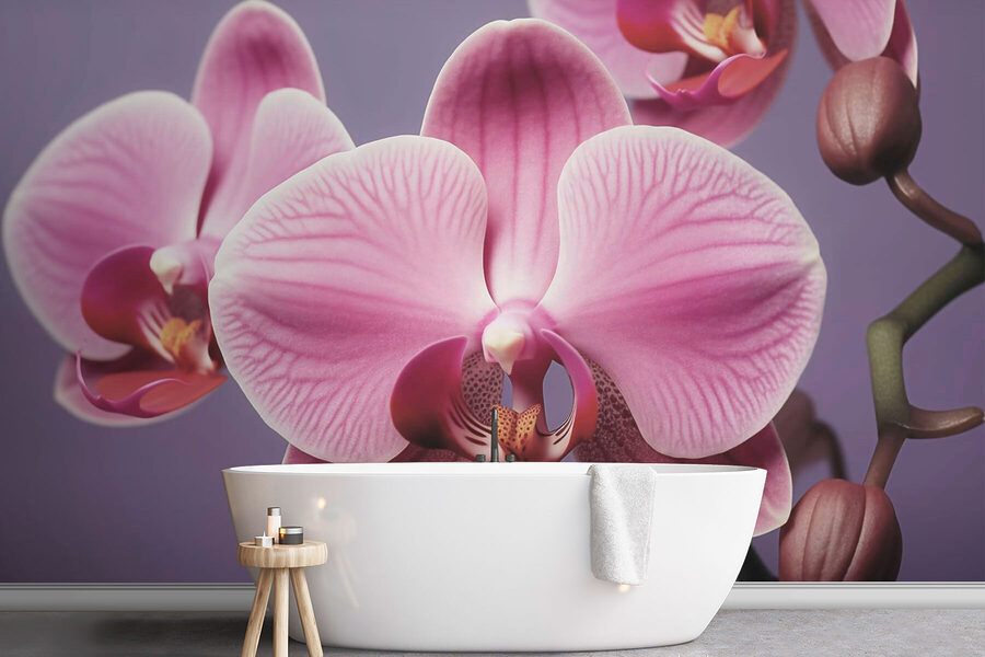Delicate orchidee dalle tonalità tenui