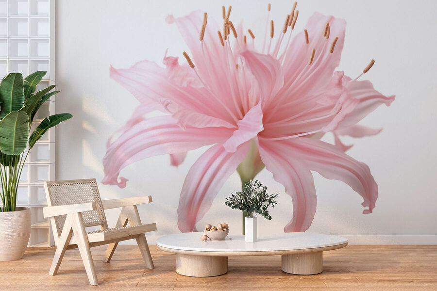 Delicati petali si dispiegano con grazia