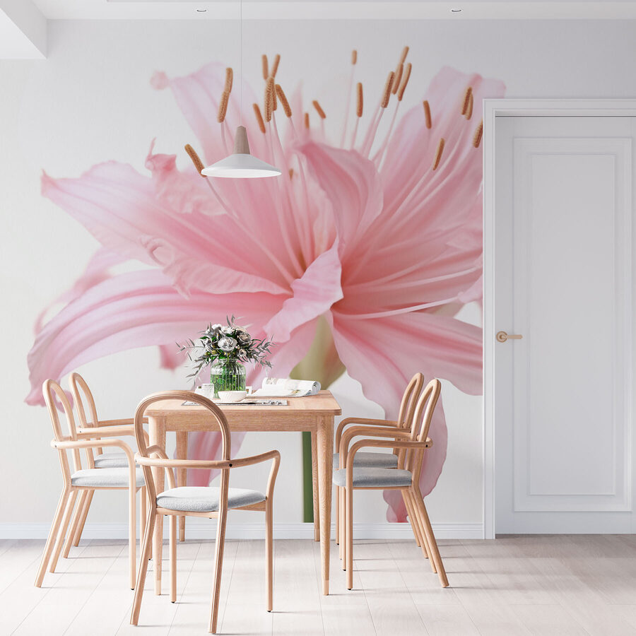 Delicati petali si dispiegano con grazia