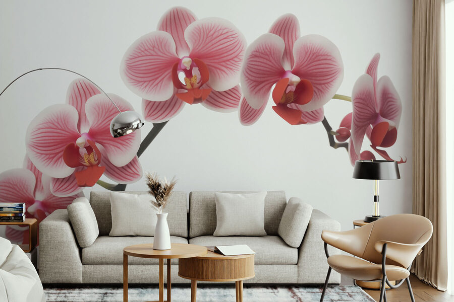 Delicate orchidee in leggera fioritura