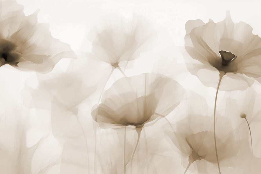 Gruppo di fiori su sfondo bianco