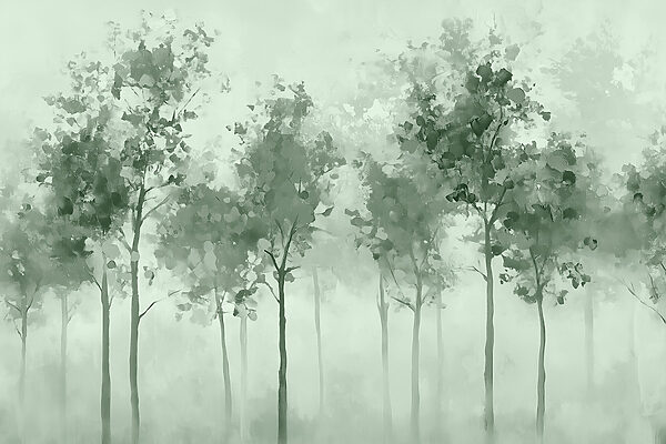 Gruppo di alberi nella nebbia Gruppo di alberi nella nebbia