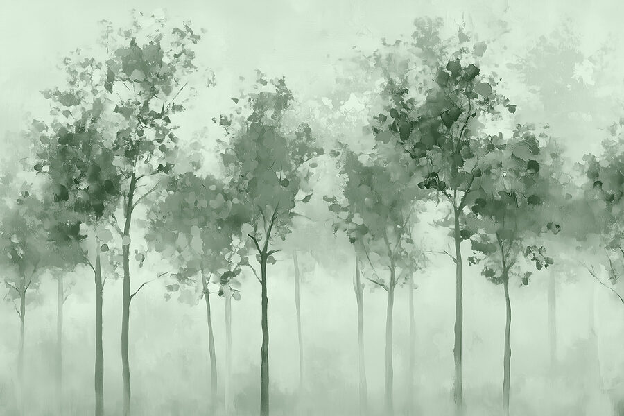 Gruppo di alberi nella nebbia Gruppo di alberi nella nebbia