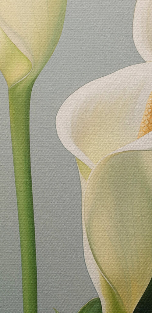 Elegant white blooms in soft light Elegant white blooms in soft light