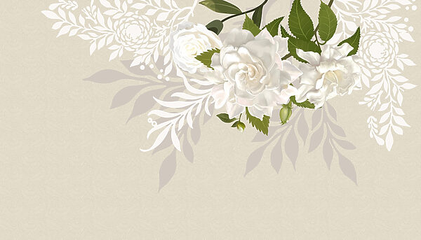 Fiori bianchi con foglie verdi Fiori bianchi con foglie verdi
