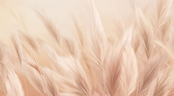 Gentle waves of soft feathers Gentle waves of soft feathers