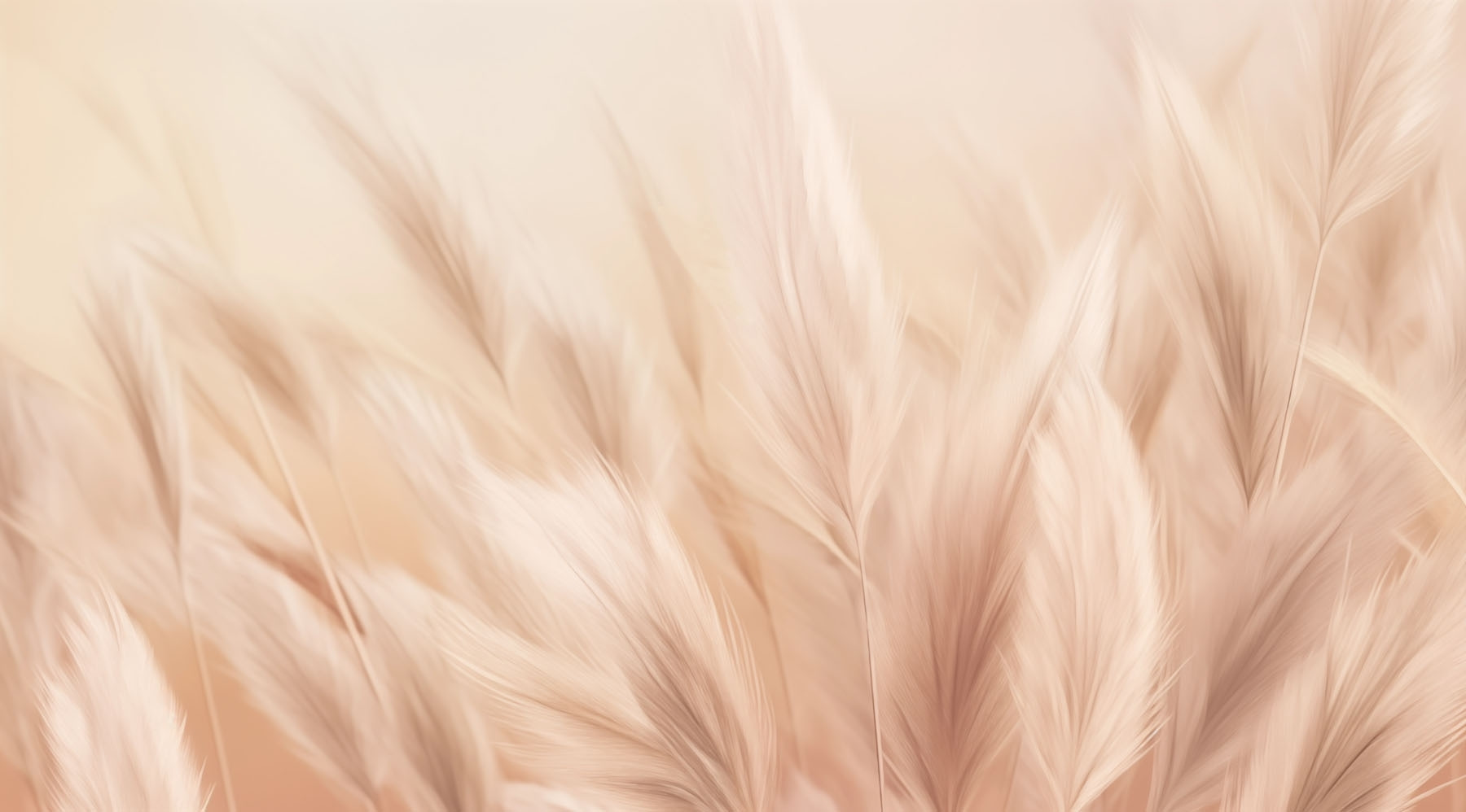 Gentle waves of soft feathers Gentle waves of soft feathers