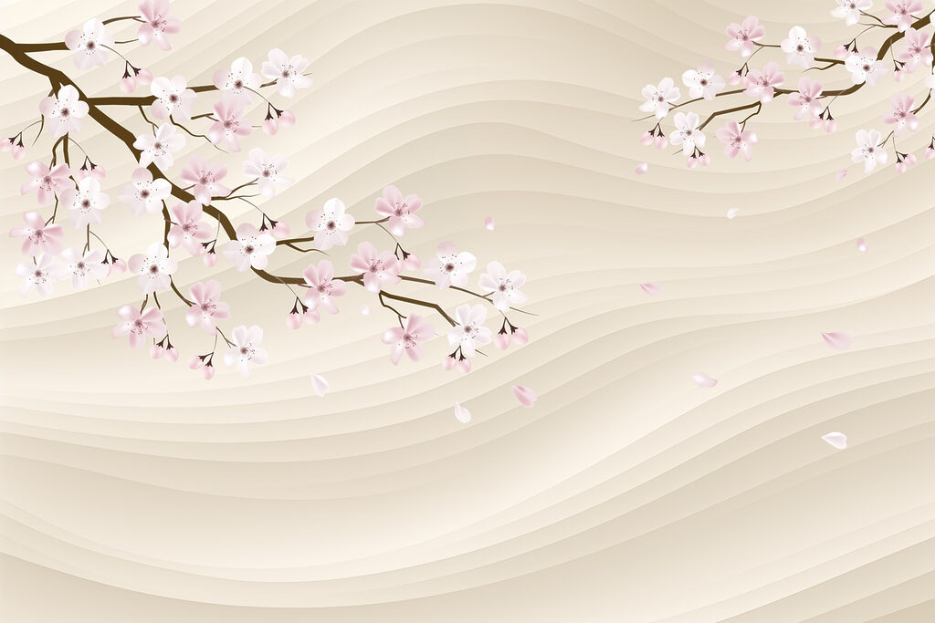 Ramo d'albero con fiori bianchi e rosa Ramo d'albero con fiori bianchi e rosa