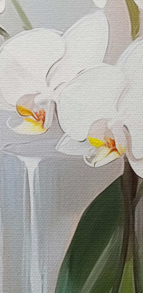 Painting of a white orchid in a glass vase Painting of a white orchid in a glass vase