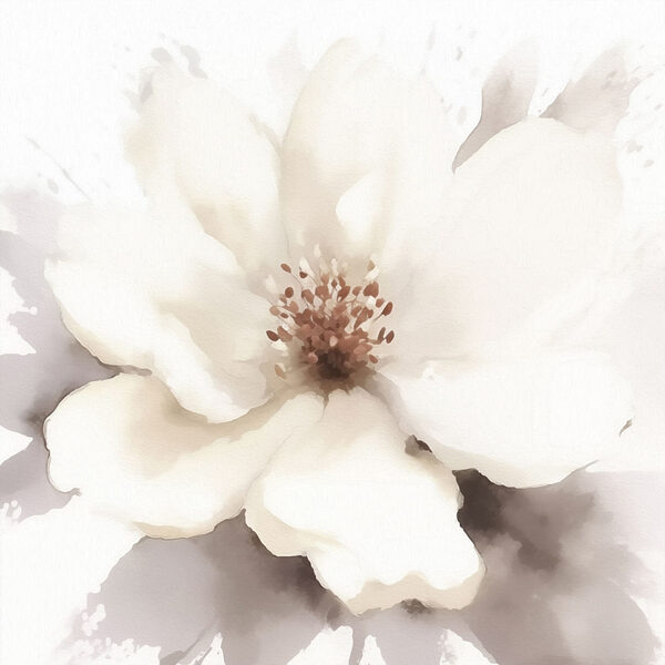 White flower with brown center
