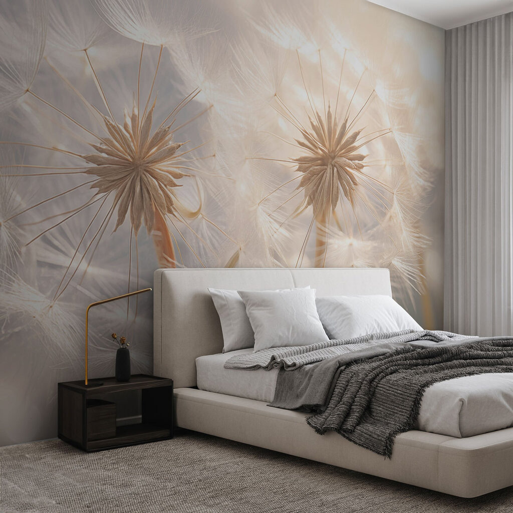 Delicate dandelion seeds in soft light Delicate dandelion seeds in soft light