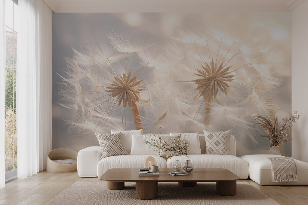 Delicate dandelion seeds in soft light Delicate dandelion seeds in soft light