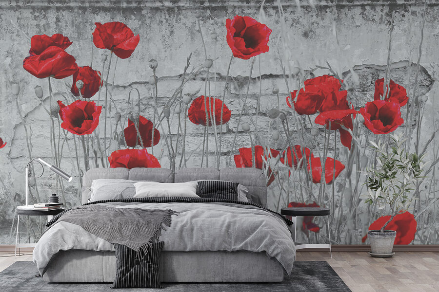Fiori rossi in un campo