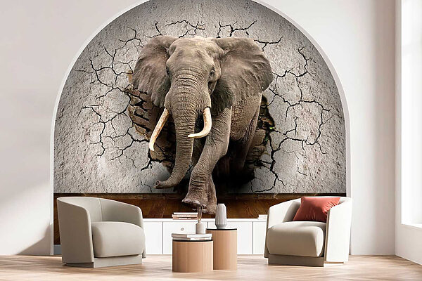 Un elefante che attraversa un muro Un elefante che attraversa un muro