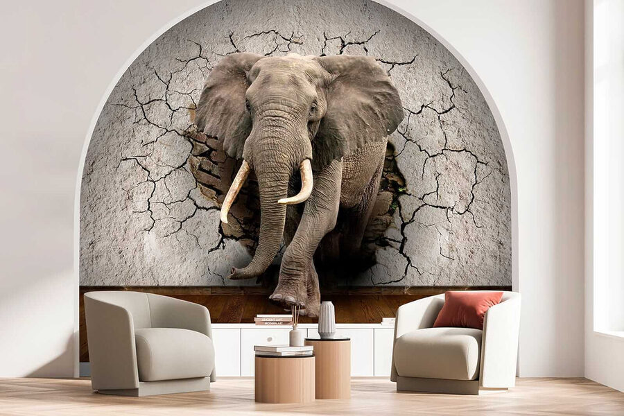 Un elefante che attraversa un muro