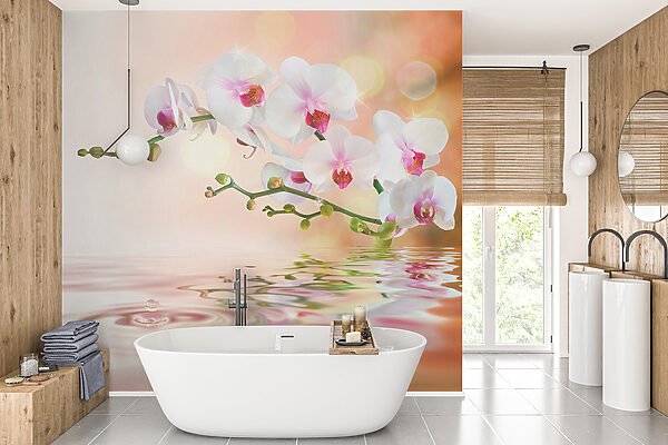 Orchidee bianche su un ramo con increspature d'acqua Orchidee bianche su un ramo con increspature d'acqua
