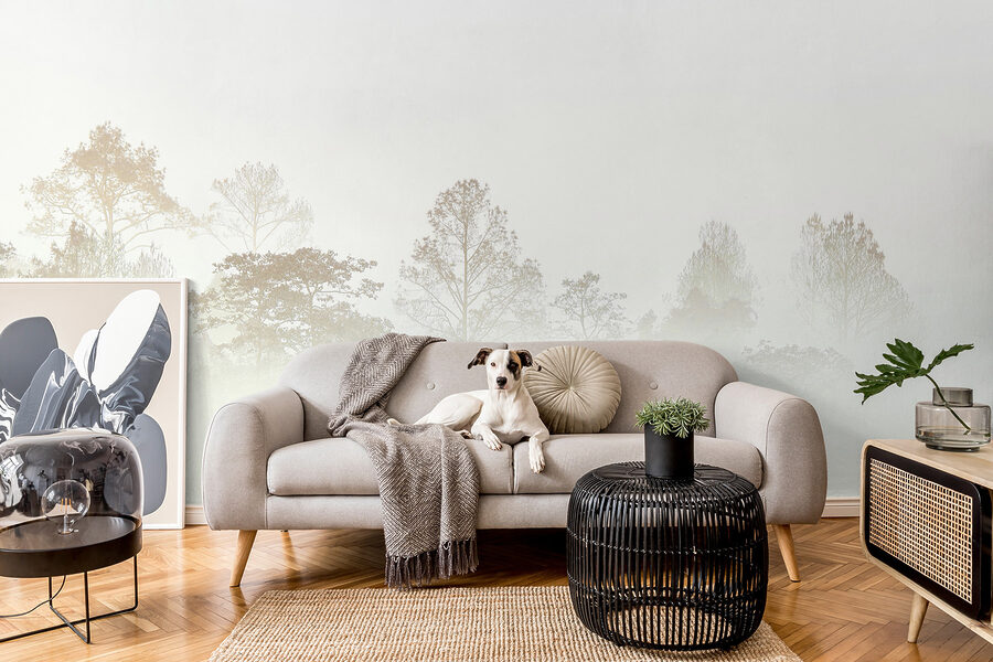 Alberi nella nebbia