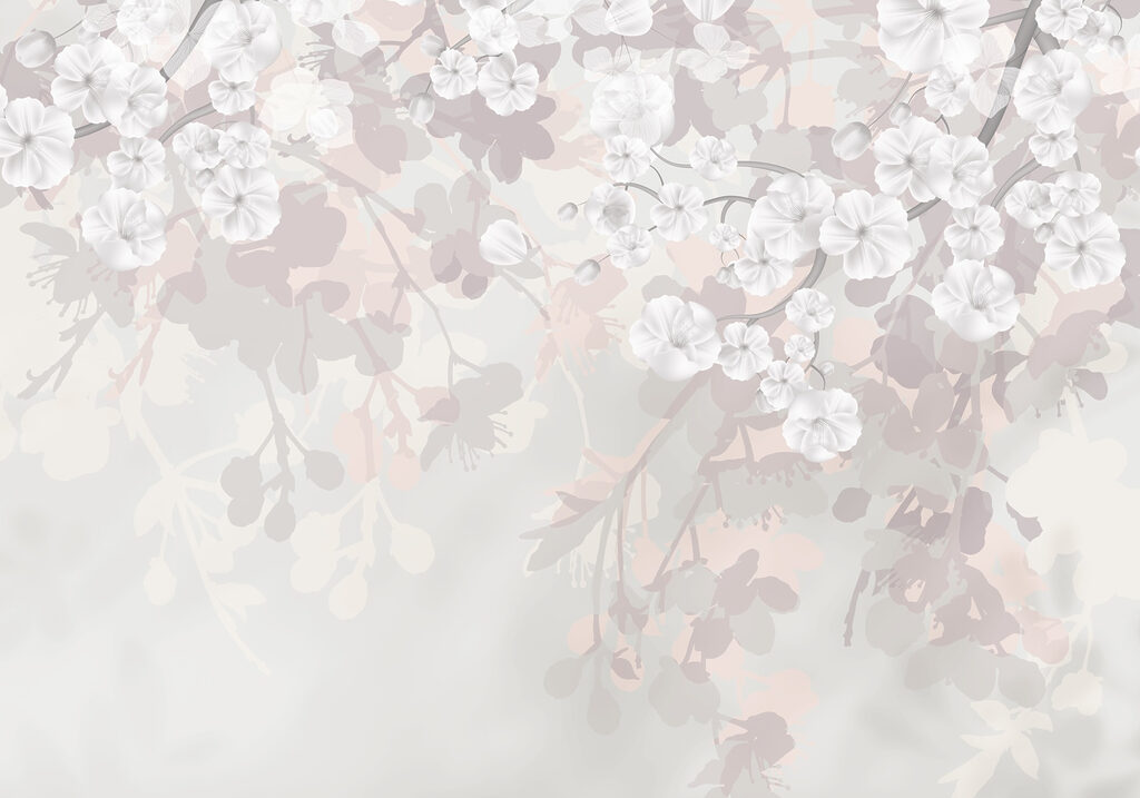 Fiori bianchi su sfondo bianco Fiori bianchi su sfondo bianco