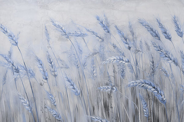 Morbide onde blu di grano gentile Morbide onde blu di grano gentile