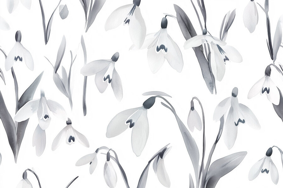 Fiori bianchi con foglie grigie