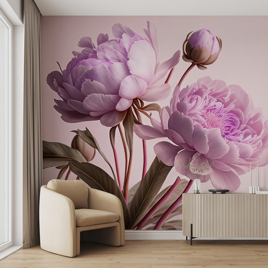 Eleganti peonie rosa in morbida fioritura