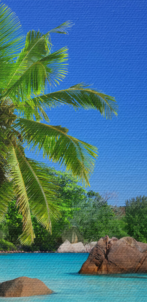 A beach with palm trees and blue water A beach with palm trees and blue water