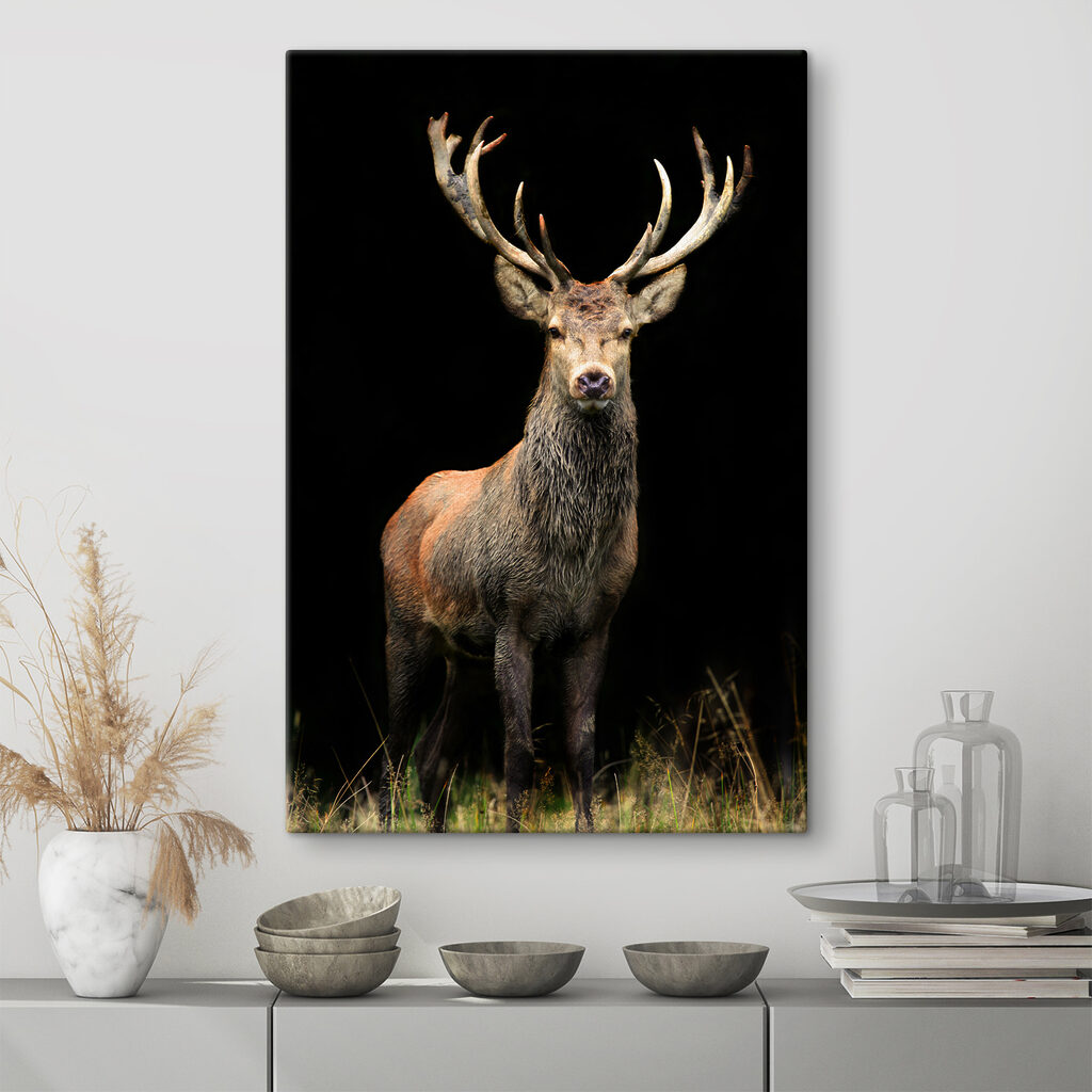 A deer with antlers standing in the dark