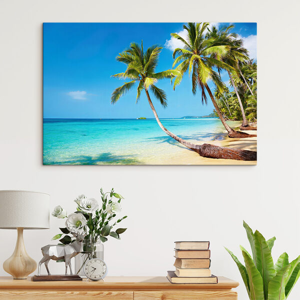 Palm trees on a beach