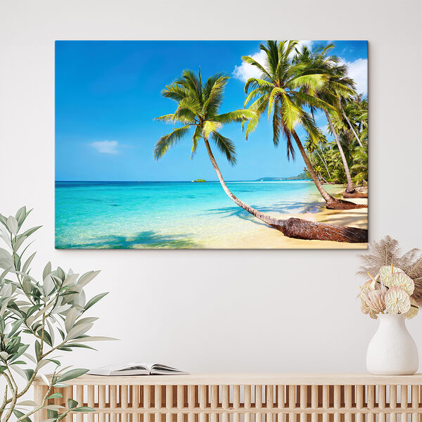 Palm trees on a beach