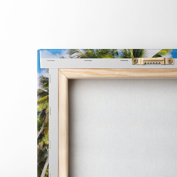 Palm trees on a beach