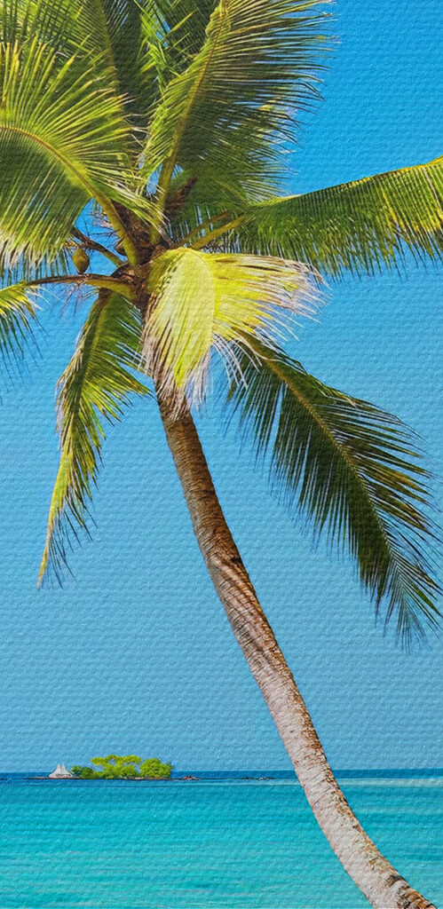 Palm trees on a beach