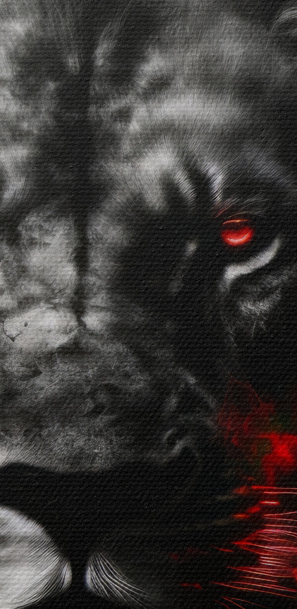 A black lion with red eyes A black lion with red eyes