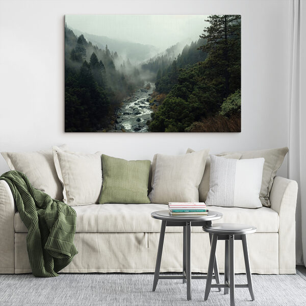 A river running through a forest