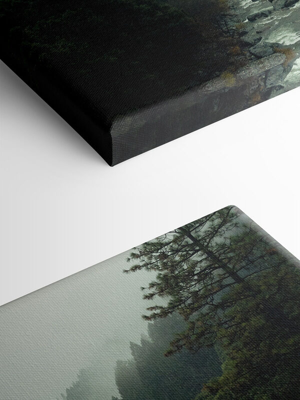 A river running through a forest