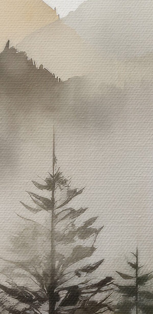 A foggy mountain range with trees