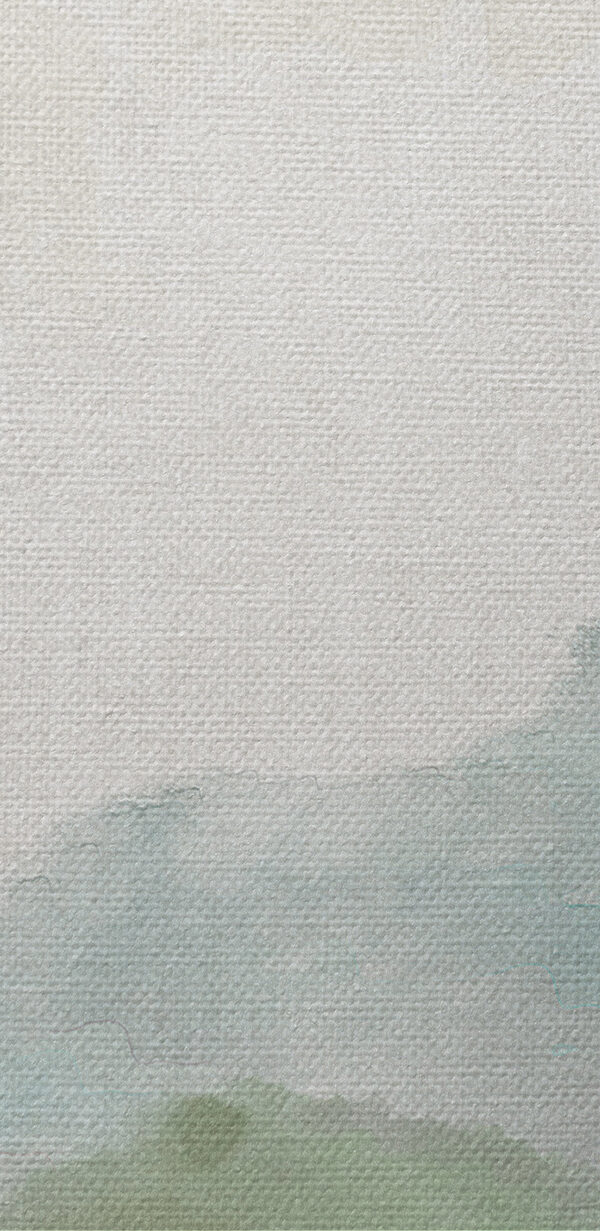 A landscape with trees and mountains
