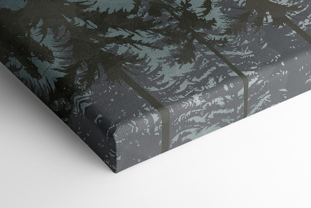 A group of trees in a forest A group of trees in a forest