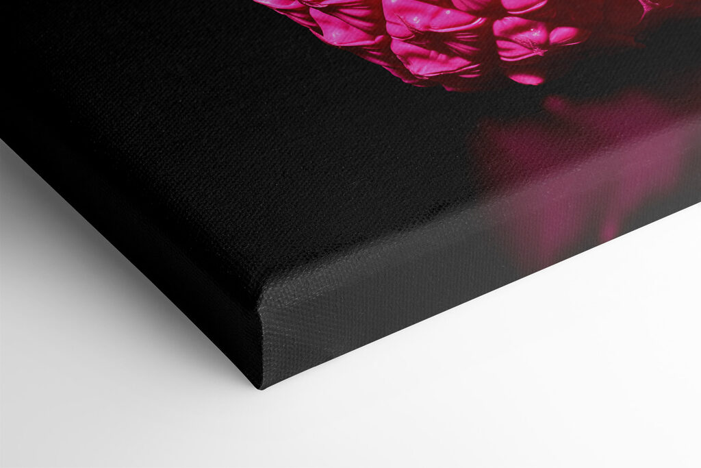 A pink pineapple with a black background A pink pineapple with a black background