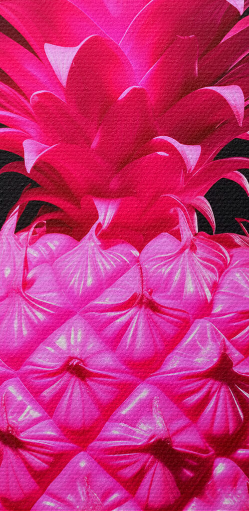 A pink pineapple with a black background A pink pineapple with a black background