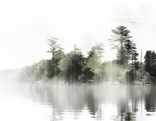 Specchio d'acqua con alberi e nebbia Specchio d'acqua con alberi e nebbia