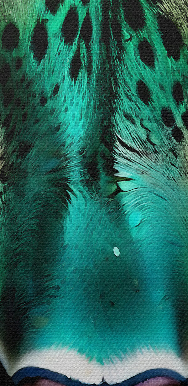 A close up of a leopard