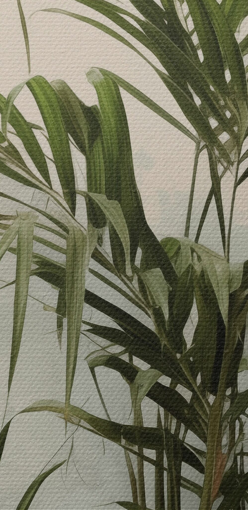 Plant in a pot