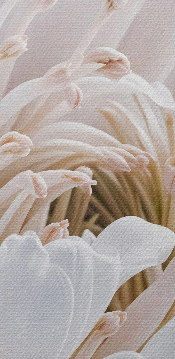 Delicate petals in soft hues
