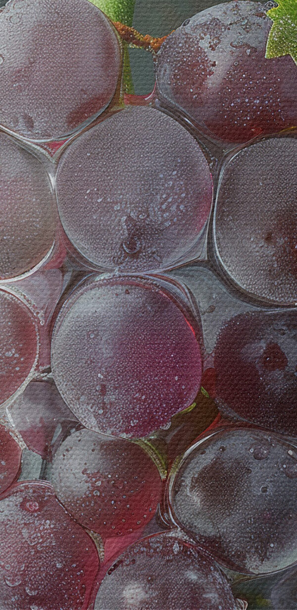 Bunch of grapes with water droplets on top Bunch of grapes with water droplets on top