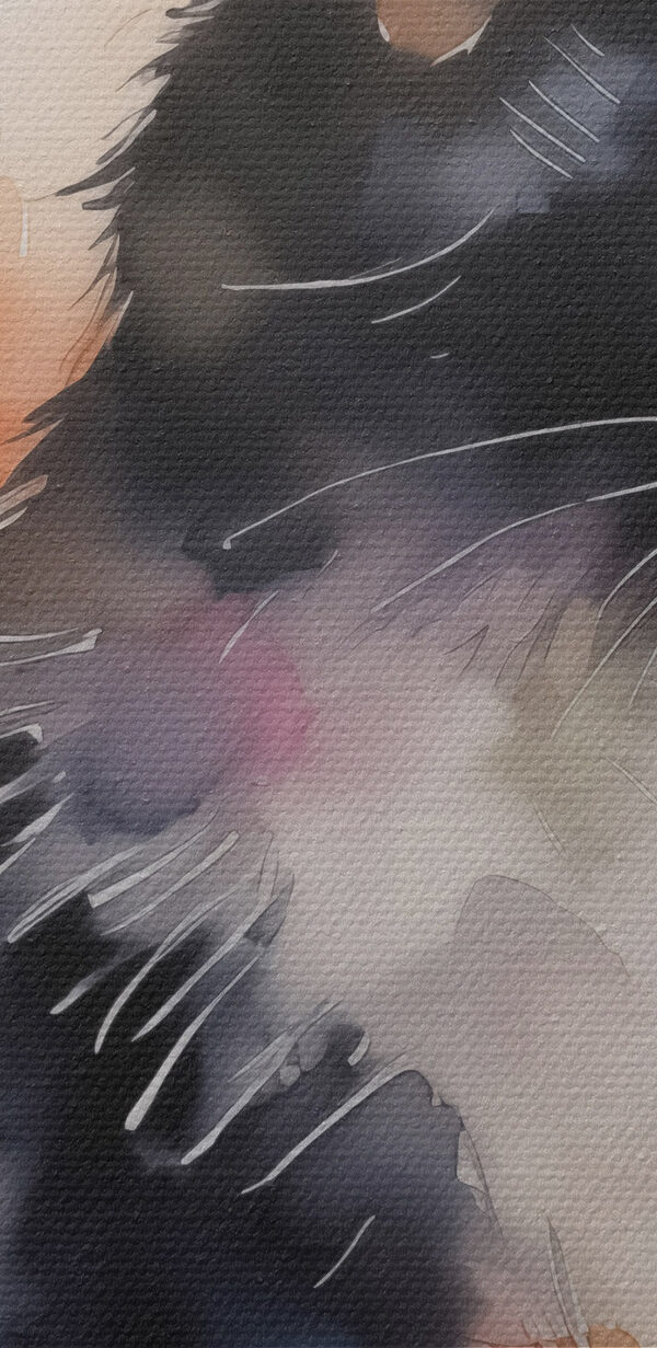 Cat with a white and black face Cat with a white and black face