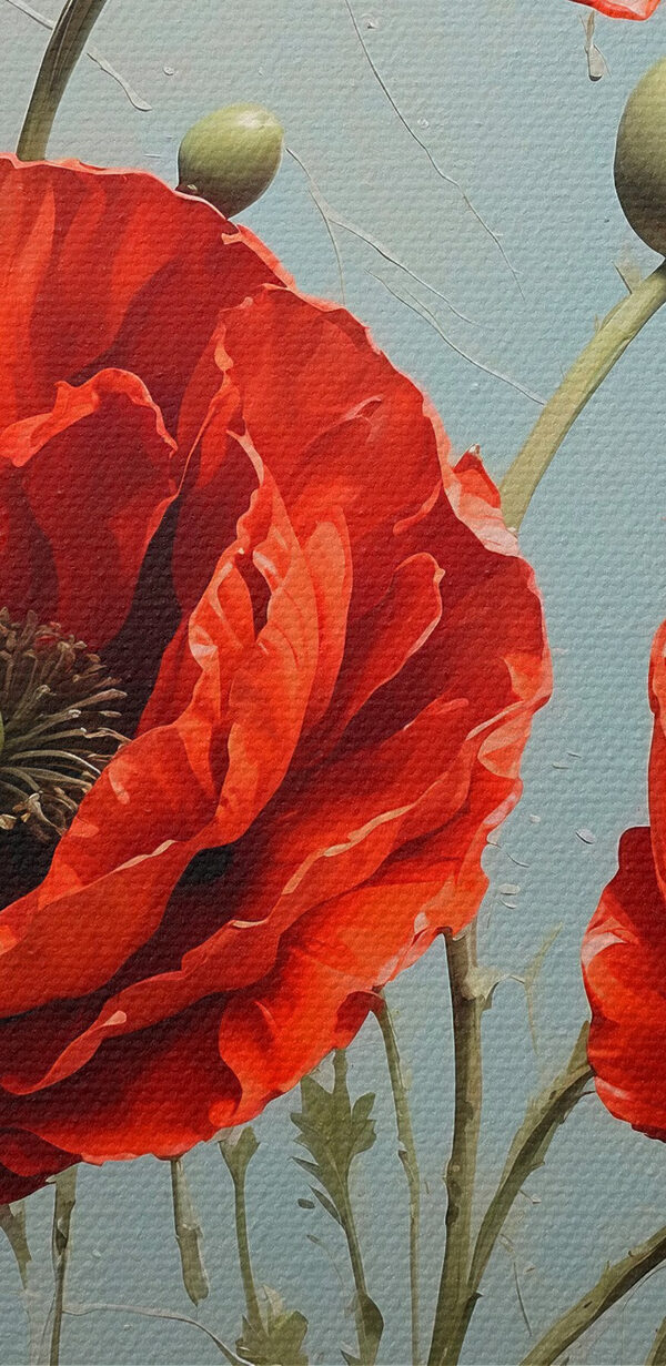 Vibrant red poppies in bloom Vibrant red poppies in bloom