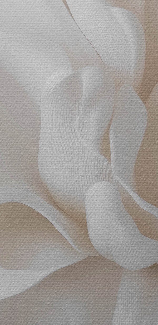 Delicate layers of soft petals